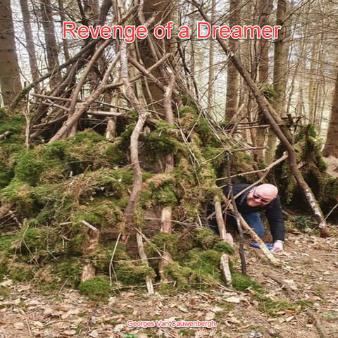 Revenge of a Dreamer