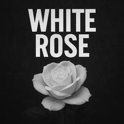 White Rose