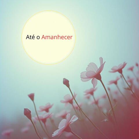Até o Amanhecer