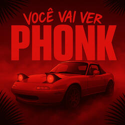 VOCÊ VAI VER PHONK