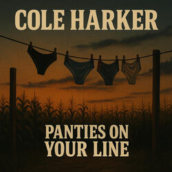 Panties on the Line