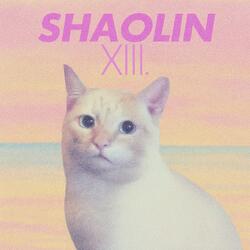 Shaolin XIII.
