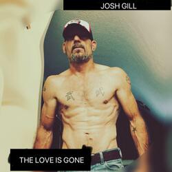 The Love Is Gone