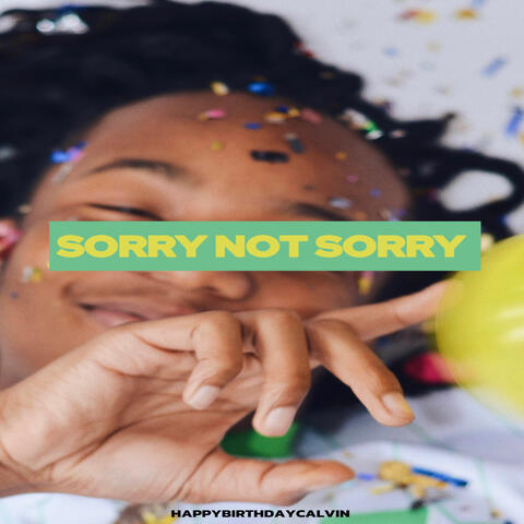 Sorry Not Sorry (Versions)