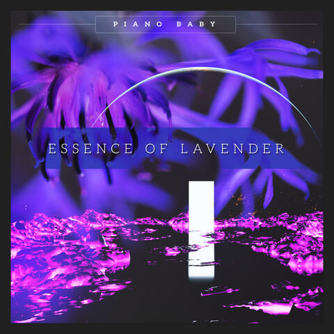 Essence Of Lavender