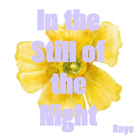 In The Still of the Night