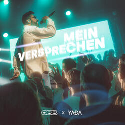 Mein Versprechen