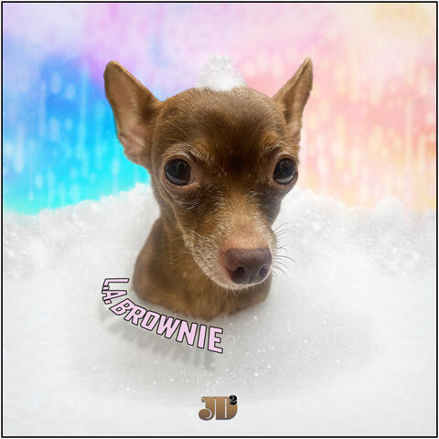 L.A. Brownie