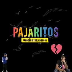 Pajaritos Prod Geniosdelamelody