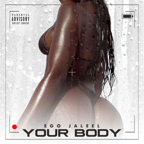 Your Body