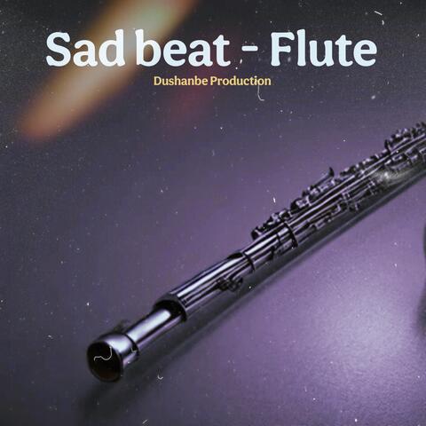 Sad beat - Flute