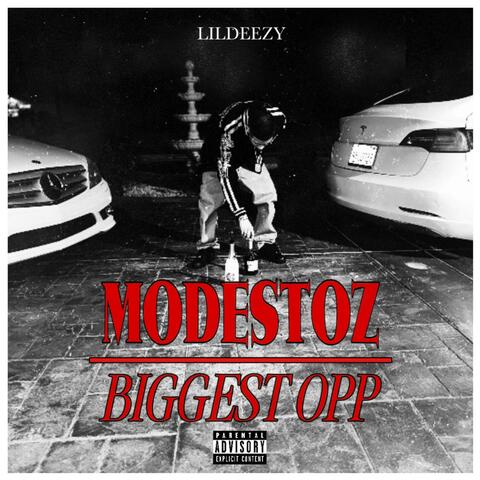 Modestoz Biggest Opp