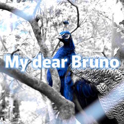 My Dear Bruno