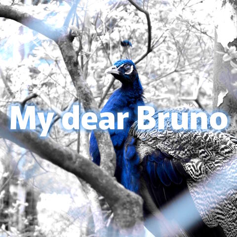 My Dear Bruno