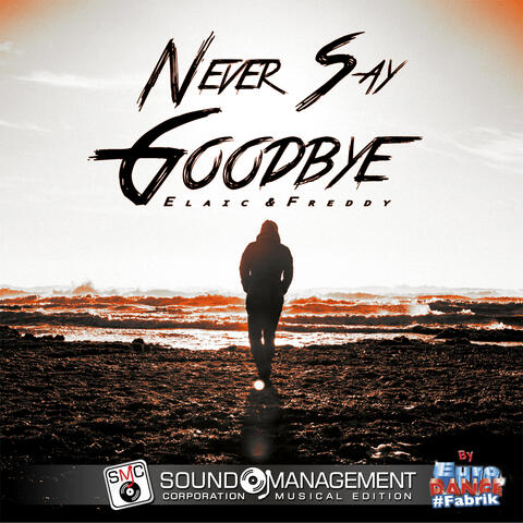Never Say Goodbye