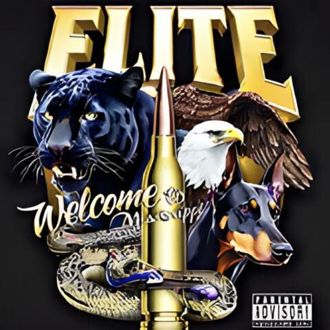 Welcome To Mississippi