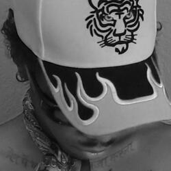Dawk_Lambourfini