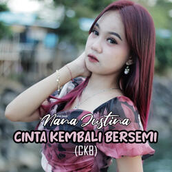 CINTA KEMBALI BERSEMI