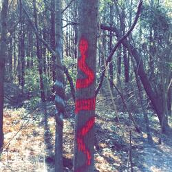 Blair Witch