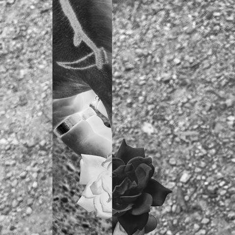 La Appel Du Vide