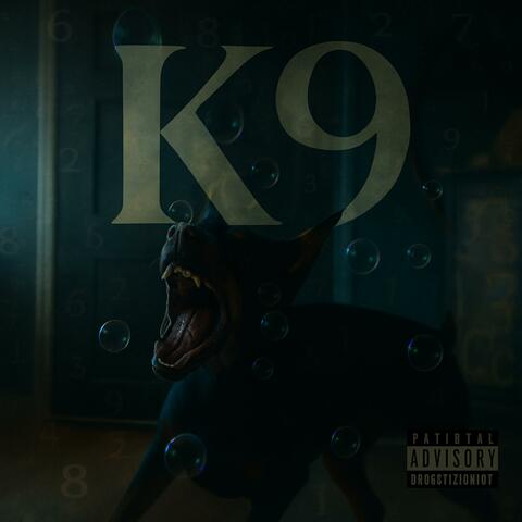 K9