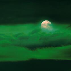 No More Tears To Give