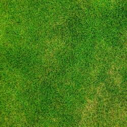 Paz de Espirito Não se Vende