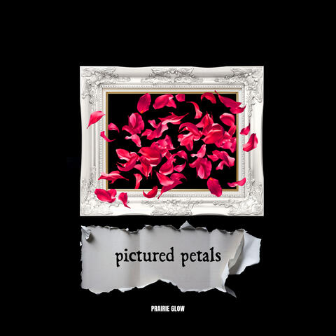 Pictured Petals