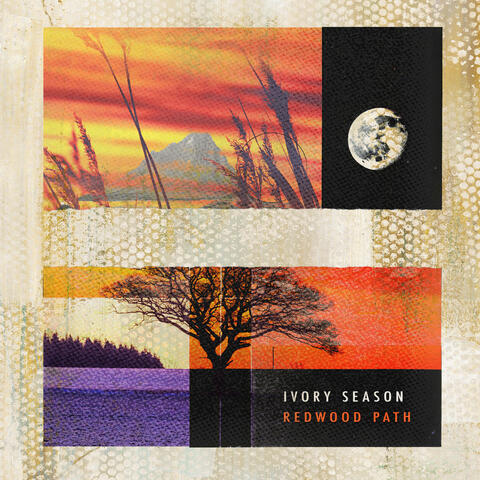 Ivory Season