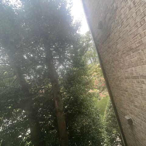 Place