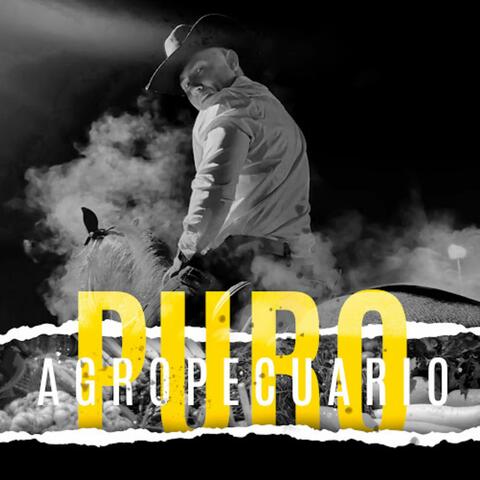 Puro Agropecuario
