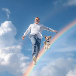 叔父貴はブロガー