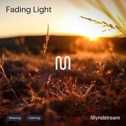 Fading Light