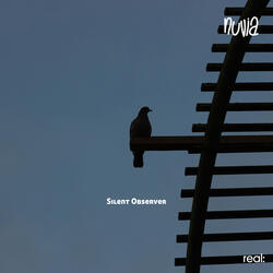 Silent Observer
