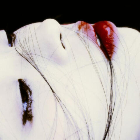 i'll kiss your scars