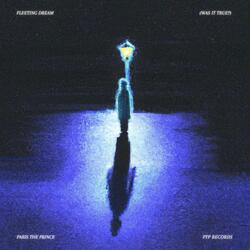 Fleeting Dream (Was It True)