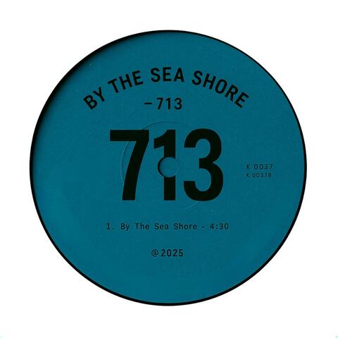 713