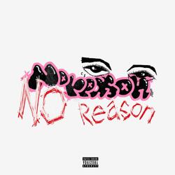 No Reason