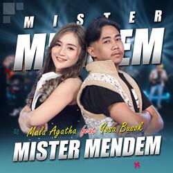 Mister Mendem