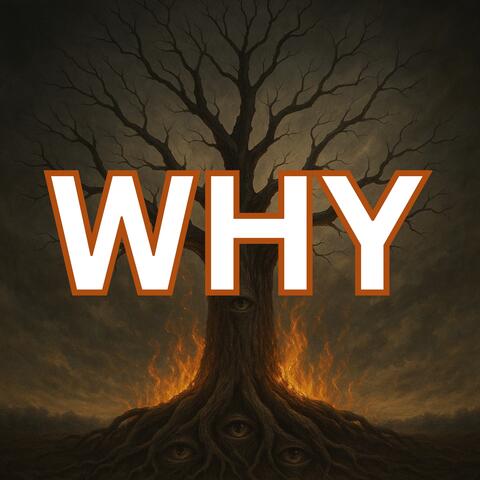 WHY