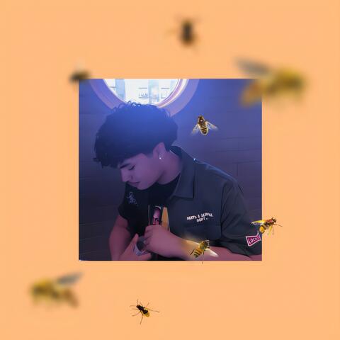 Bee's Round The World