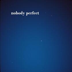 nobody perfect