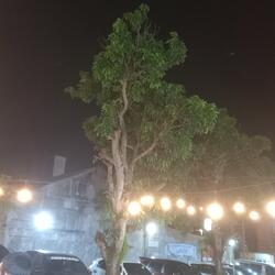 cahaya di langit kota