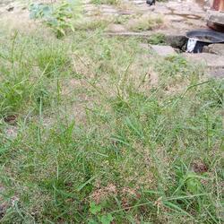 Kita lewati suka dan duka