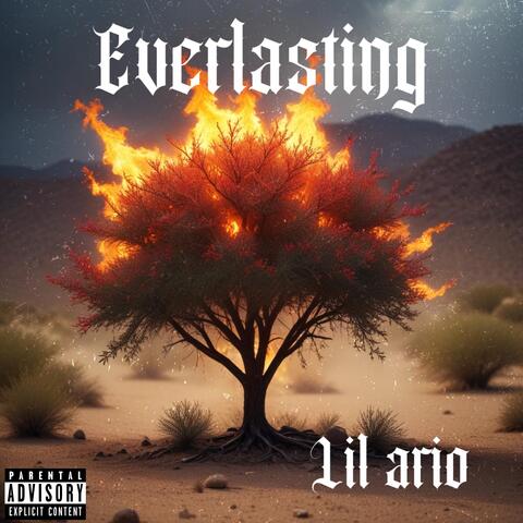 Everlasting