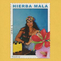 Hierba Mala ☾
