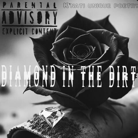 Diamond In The Dirt