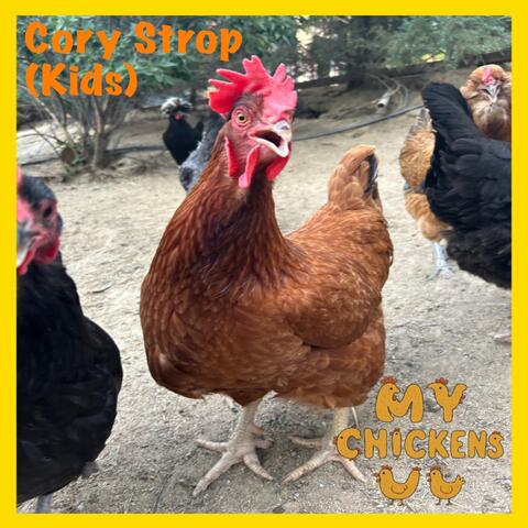My Chickens