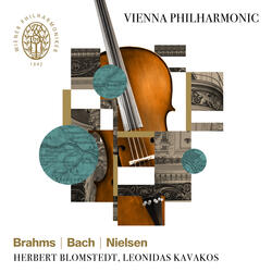 Partita for Solo Violin No. 1 in B Minor, BWV 1002: III. Sarabande Double