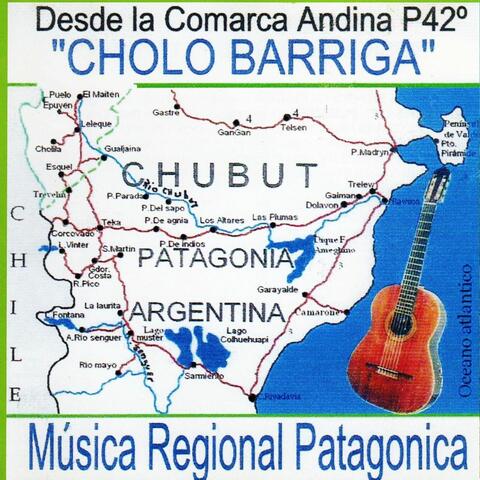 Desde la Comarca Andina del Paralelo 42